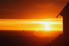 header_002-2